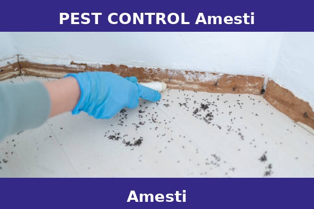 PEST CONTROL Amesti